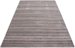 Ayyildiz Teppiche Teppich Plus 8000 | Beige