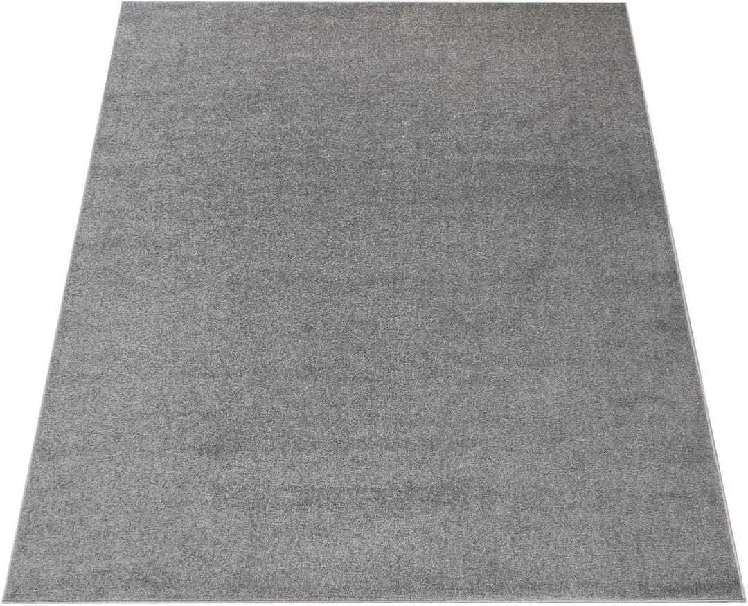 Paco Home Teppich Porto 890 | Grau