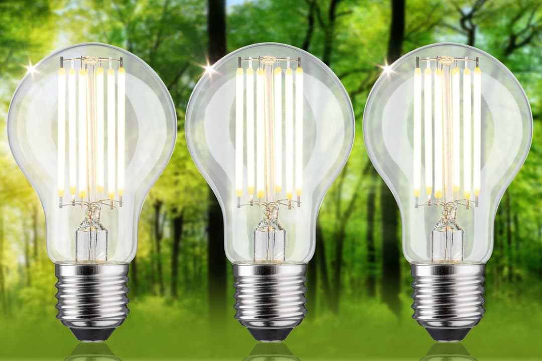 Paulmann LED-Leuchtmittel Eco-Line Filament 230V LED Birne E27 | Weiß
