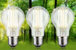 Paulmann LED-Leuchtmittel Eco-Line Filament 230V LED Birne E27 | Weiß