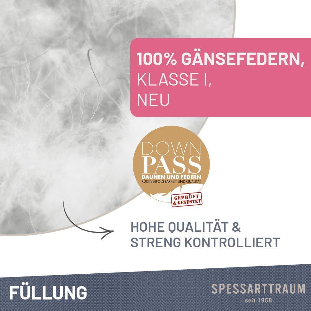 SPESSARTTRAUM Gänsefederkopfkissen Premium | Weiß