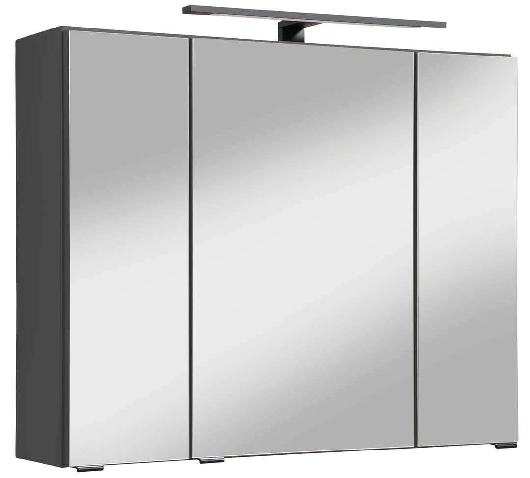 welltime Spiegelschrank Trento | Grau