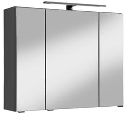 welltime Spiegelschrank Trento | Grau