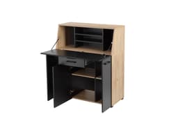 OTTO home Sekretär Moid | Holztöne