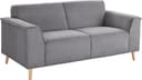 Home affaire Janek 2-Sitzer Sofa | Grau 3