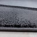 Ayyildiz Teppiche Teppich PLUS 8010 | Schwarz 5