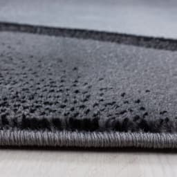 Ayyildiz Teppiche Teppich PLUS 8010 | Schwarz