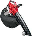 Einhell Akku-Laubsauger GE-CL 36 Li E-Solo | Rot