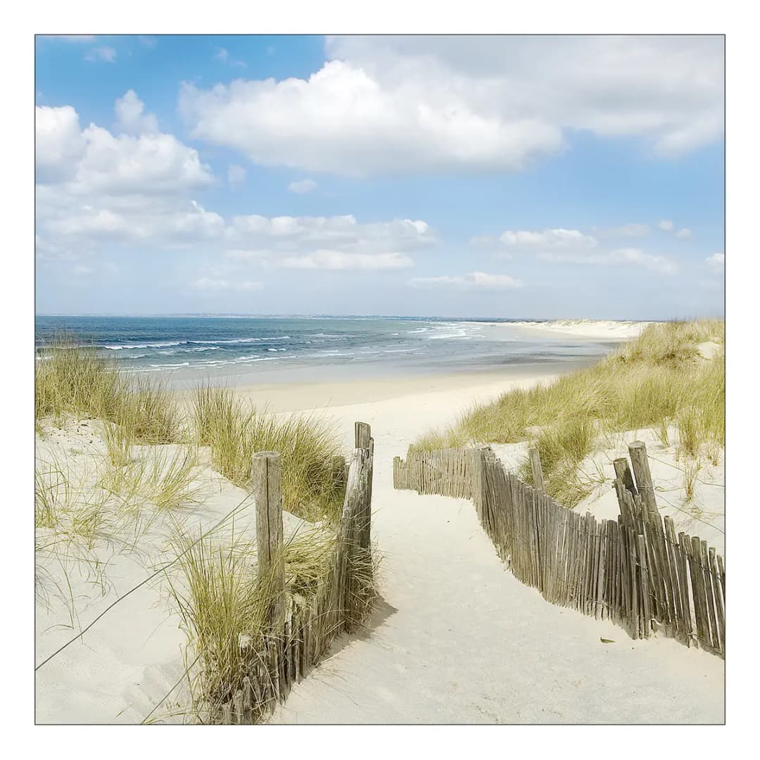 Floatglasbild Sommertag II | Mehrfarbig