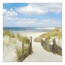 Floatglasbild Sommertag II | Mehrfarbig