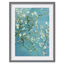 Bild Mandelblüte III | Holztöne