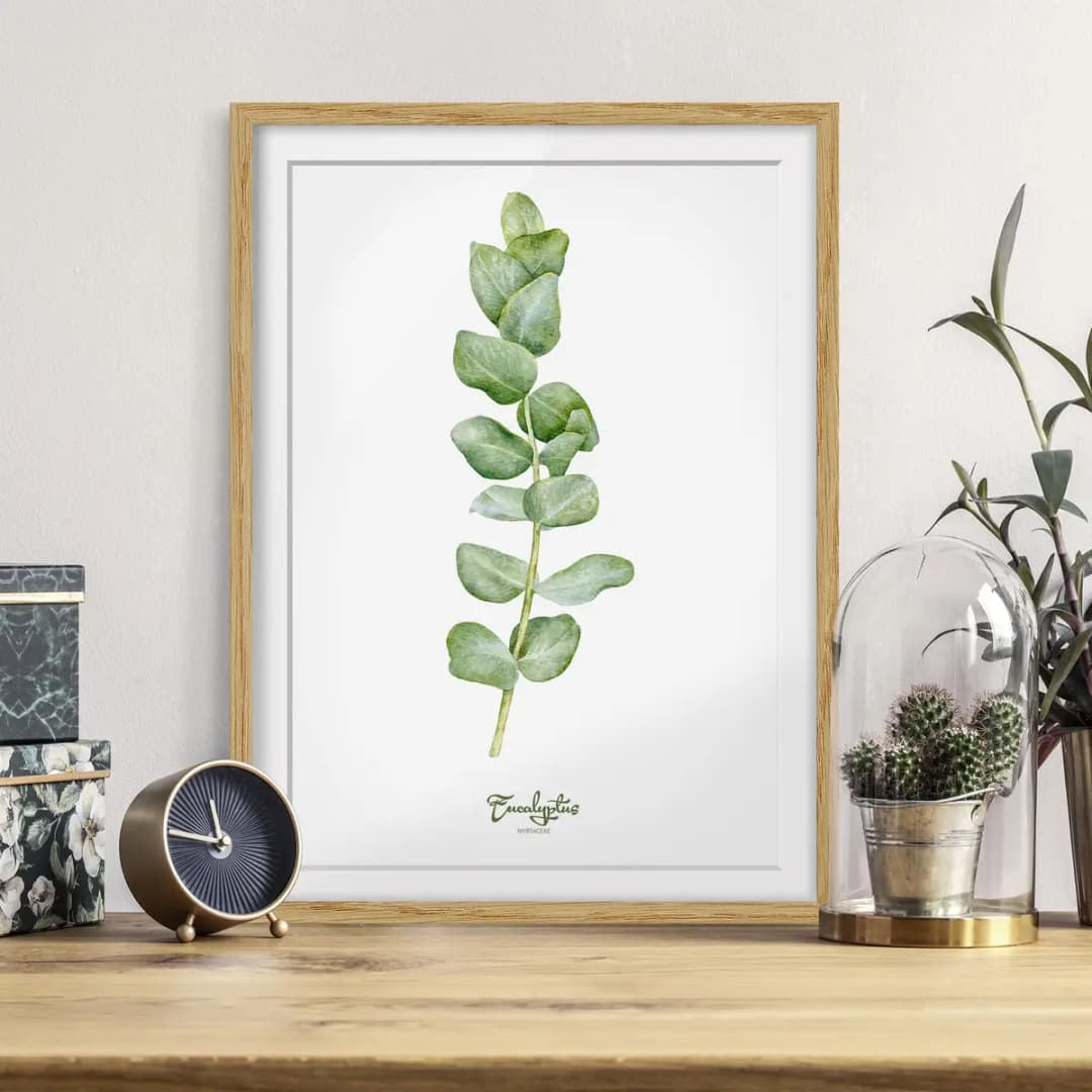 Bild Aquarell Botanik Eukalyptus IV | Grün