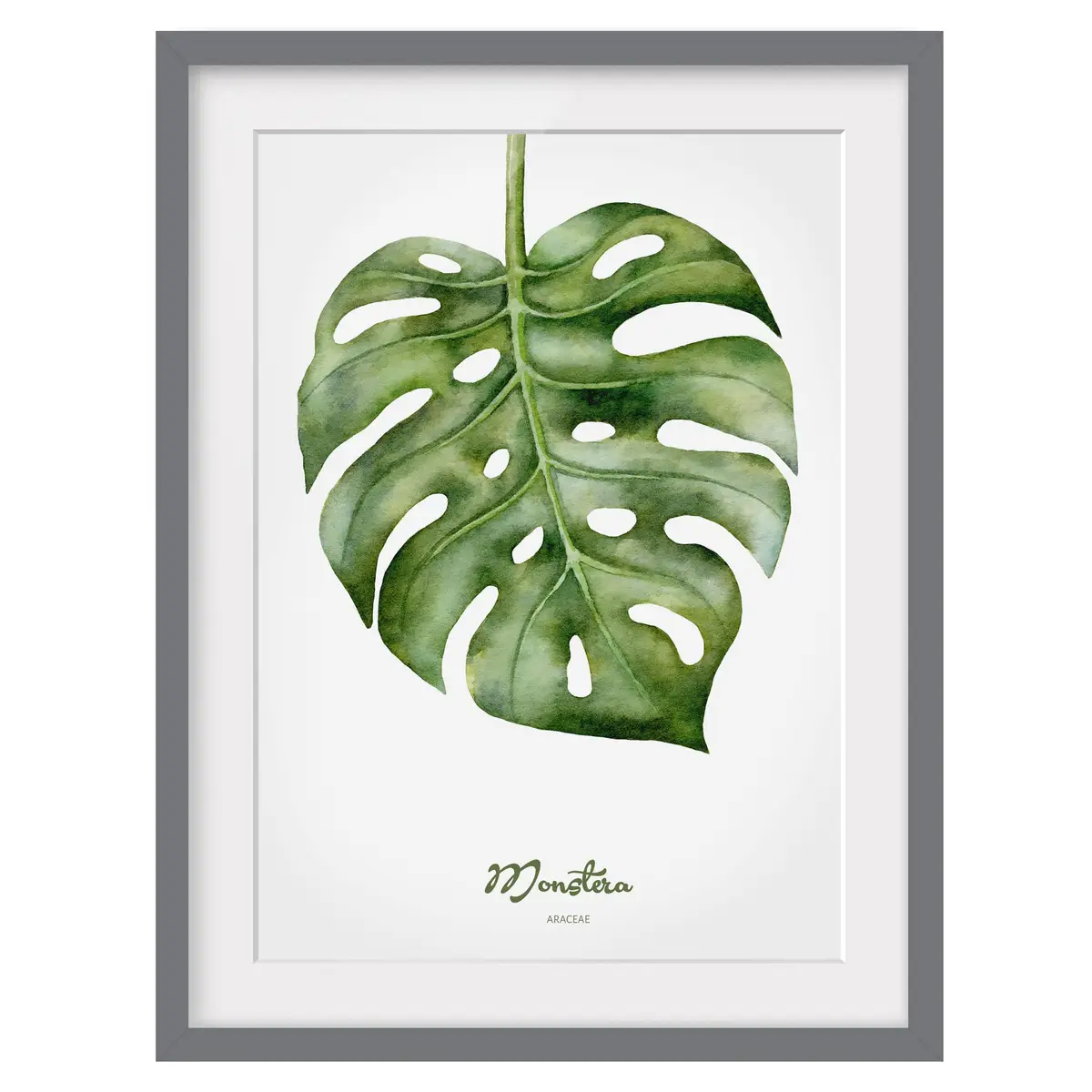 Bild Aquarell Botanik Monstera III | Grün