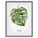 Bild Aquarell Botanik Monstera III | Grün