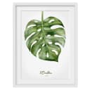 Bild Aquarell Botanik Monstera II | Grün