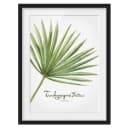 Bild Aquarell Botanik Trachycarpus I | Grün