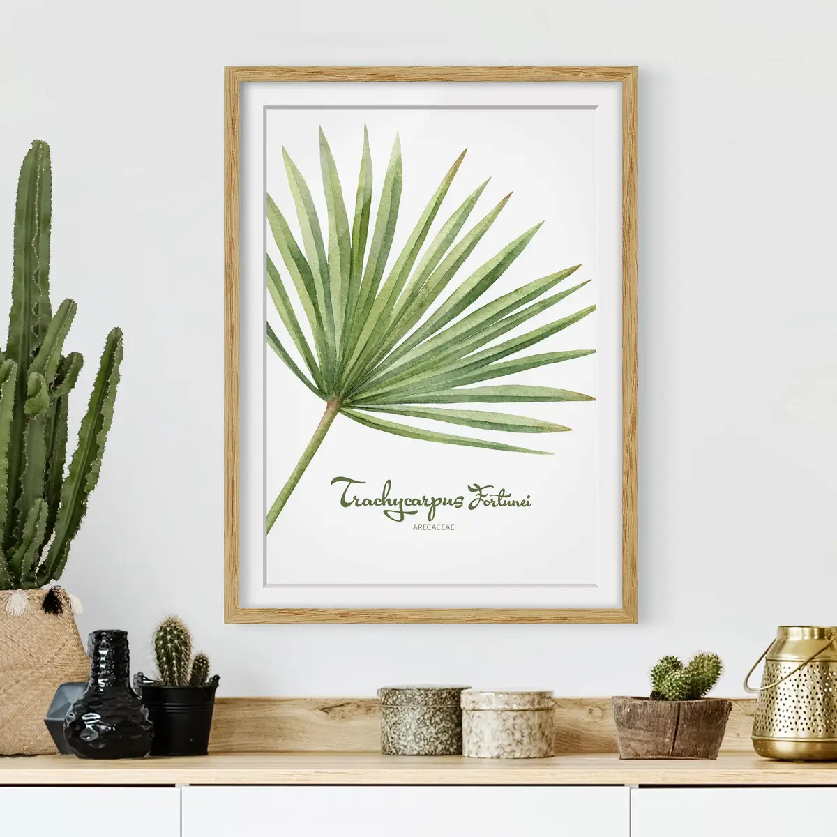 Bild Aquarell Botanik Trachycarpus IV | Grün
