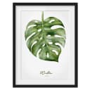Bild Aquarell Botanik Monstera I | Grün