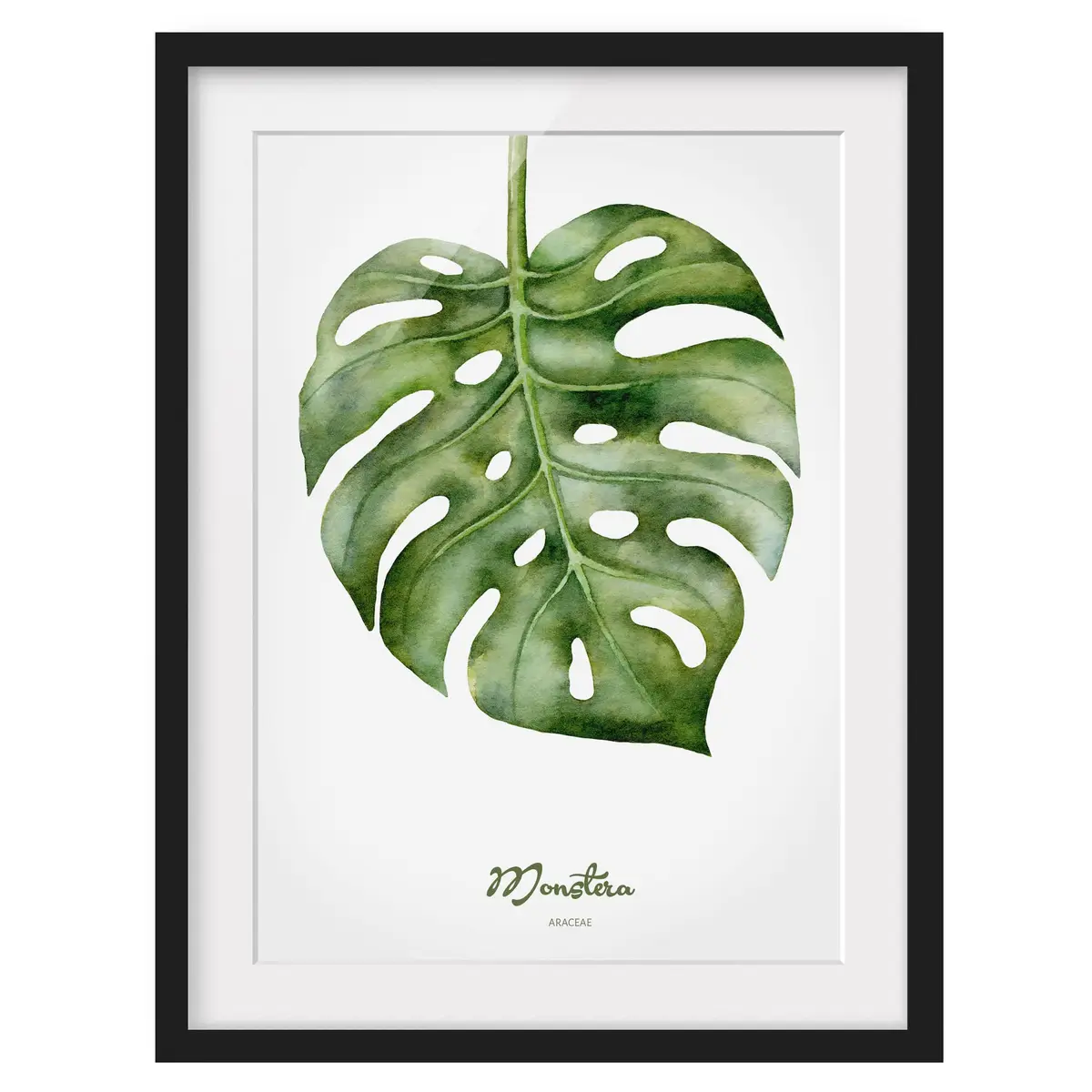 Bild Aquarell Botanik Monstera I | Grün