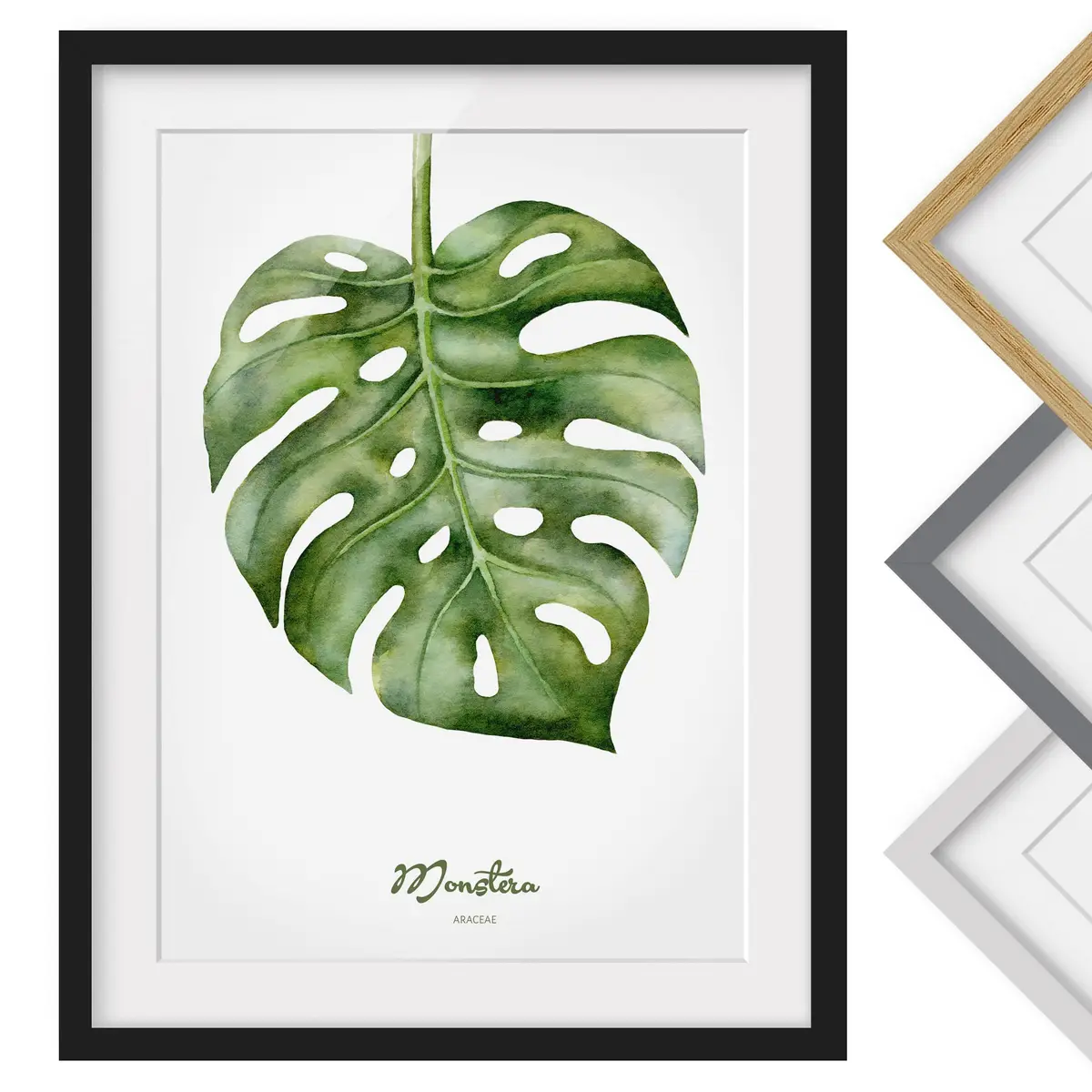 Bild Aquarell Botanik Monstera I | Grün