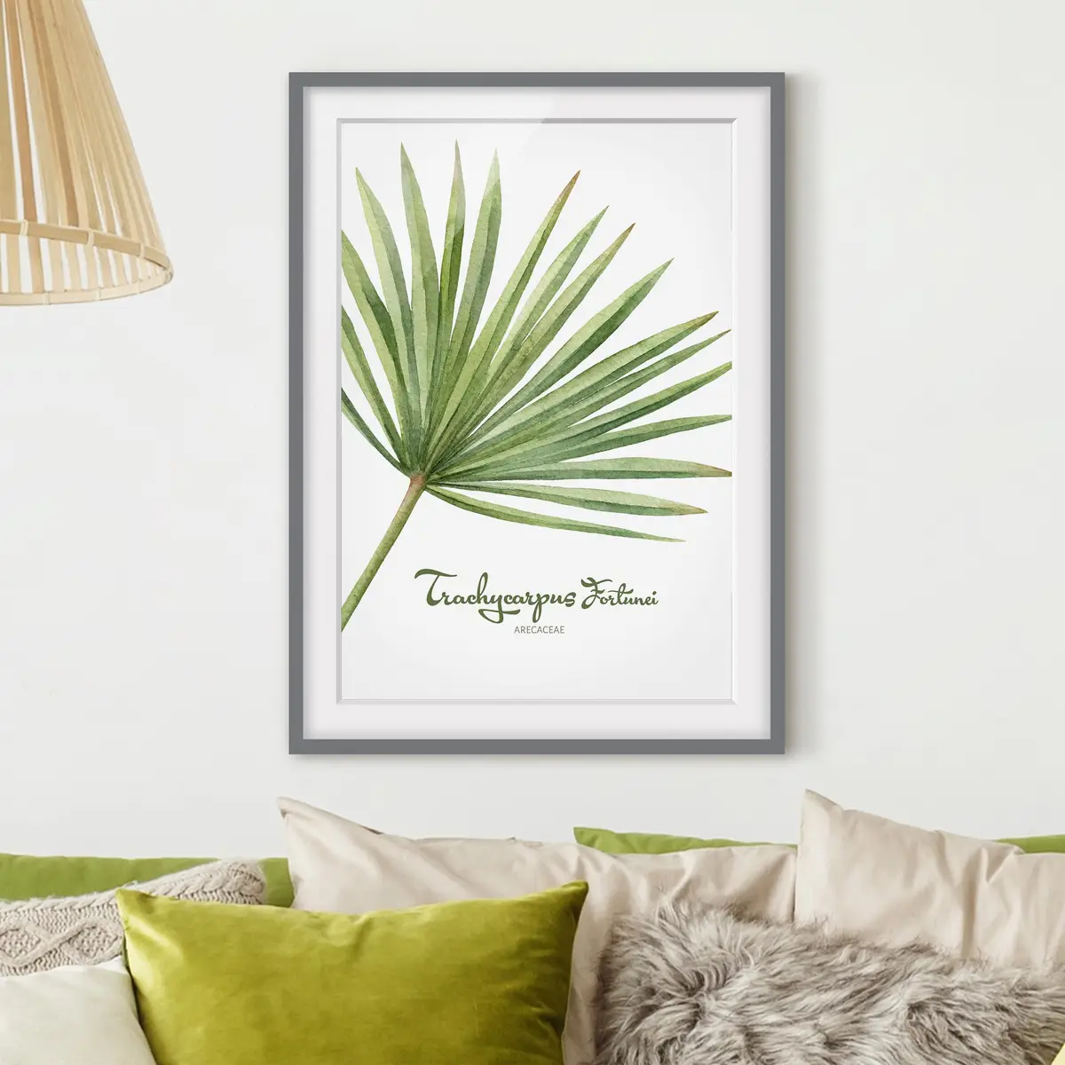 Bild Aquarell Botanik Trachycarpus III | Grün