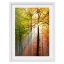 Bild Morning Light II | Mehrfarbig