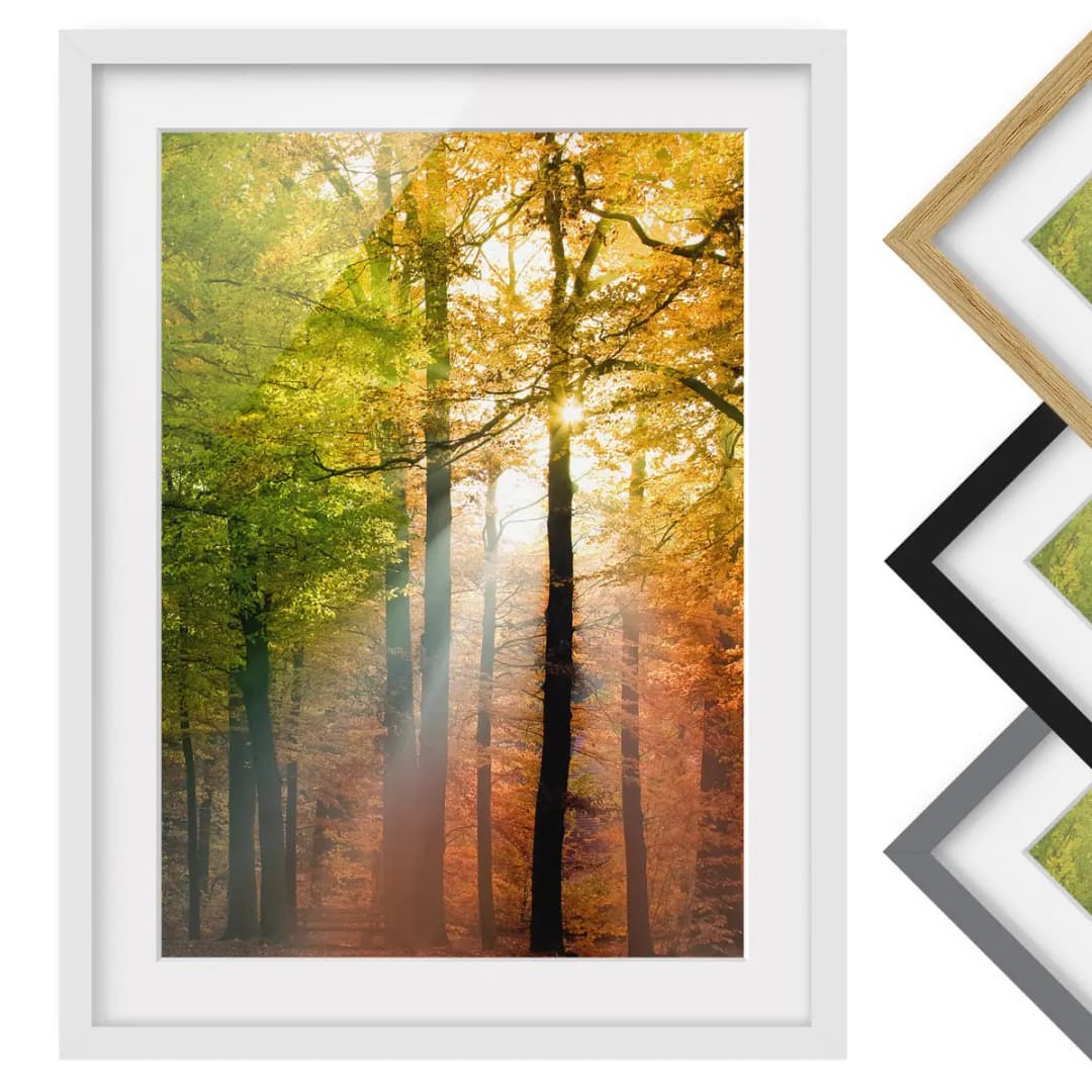 Bild Morning Light II | Mehrfarbig
