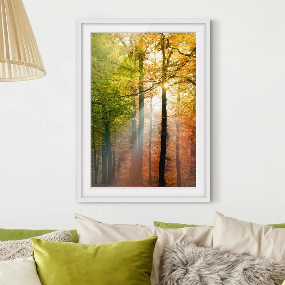 Bild Morning Light II | Mehrfarbig