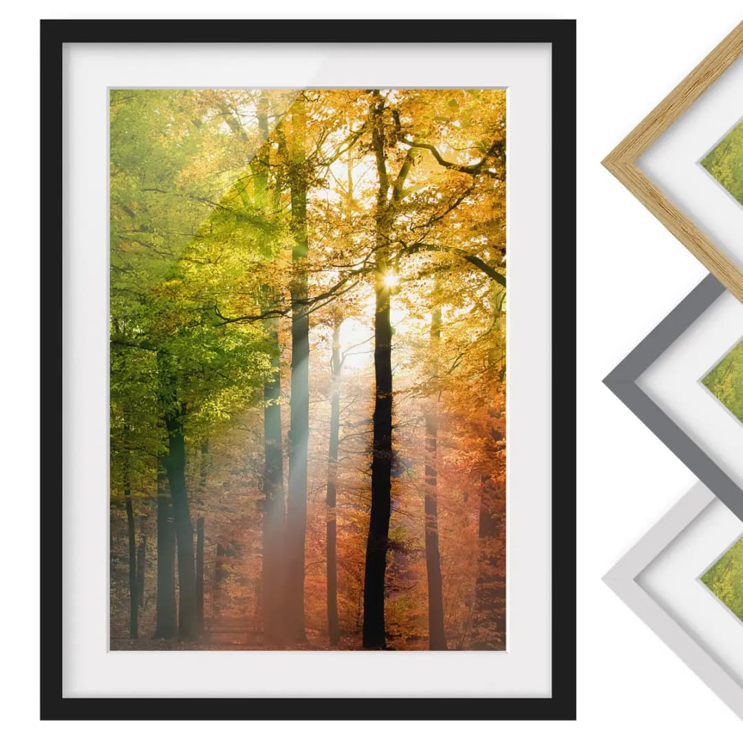 Bild Morning Light | Mehrfarbig