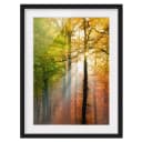 Bild Morning Light | Mehrfarbig