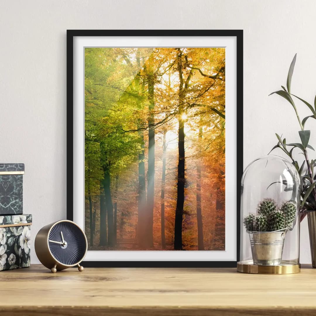 Bild Morning Light | Mehrfarbig