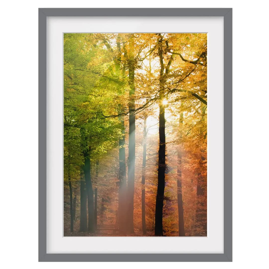 Bild Morning Light III | Mehrfarbig