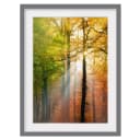 Bild Morning Light III | Mehrfarbig
