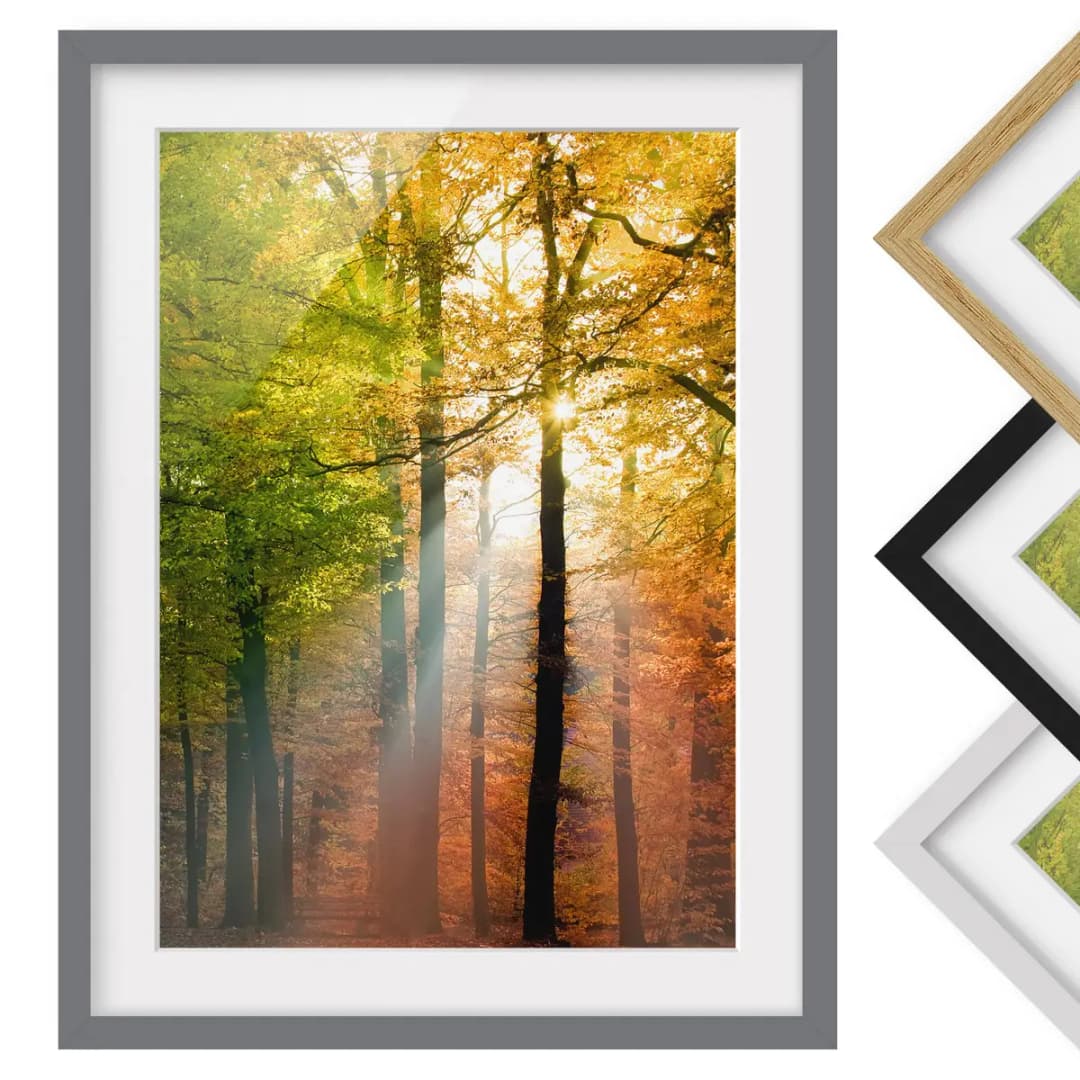Bild Morning Light III | Mehrfarbig