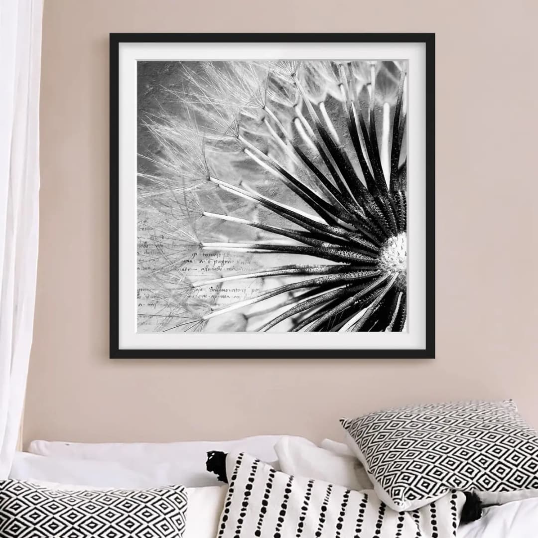 Bild Pusteblume Schwarz & Weiß | Weiß