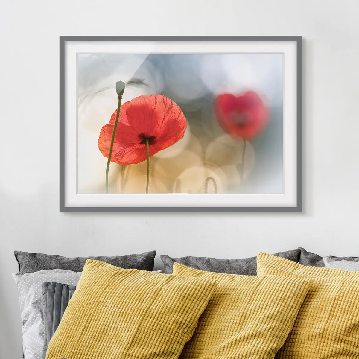 Bild Mohnblumen am Morgen III | Rot
