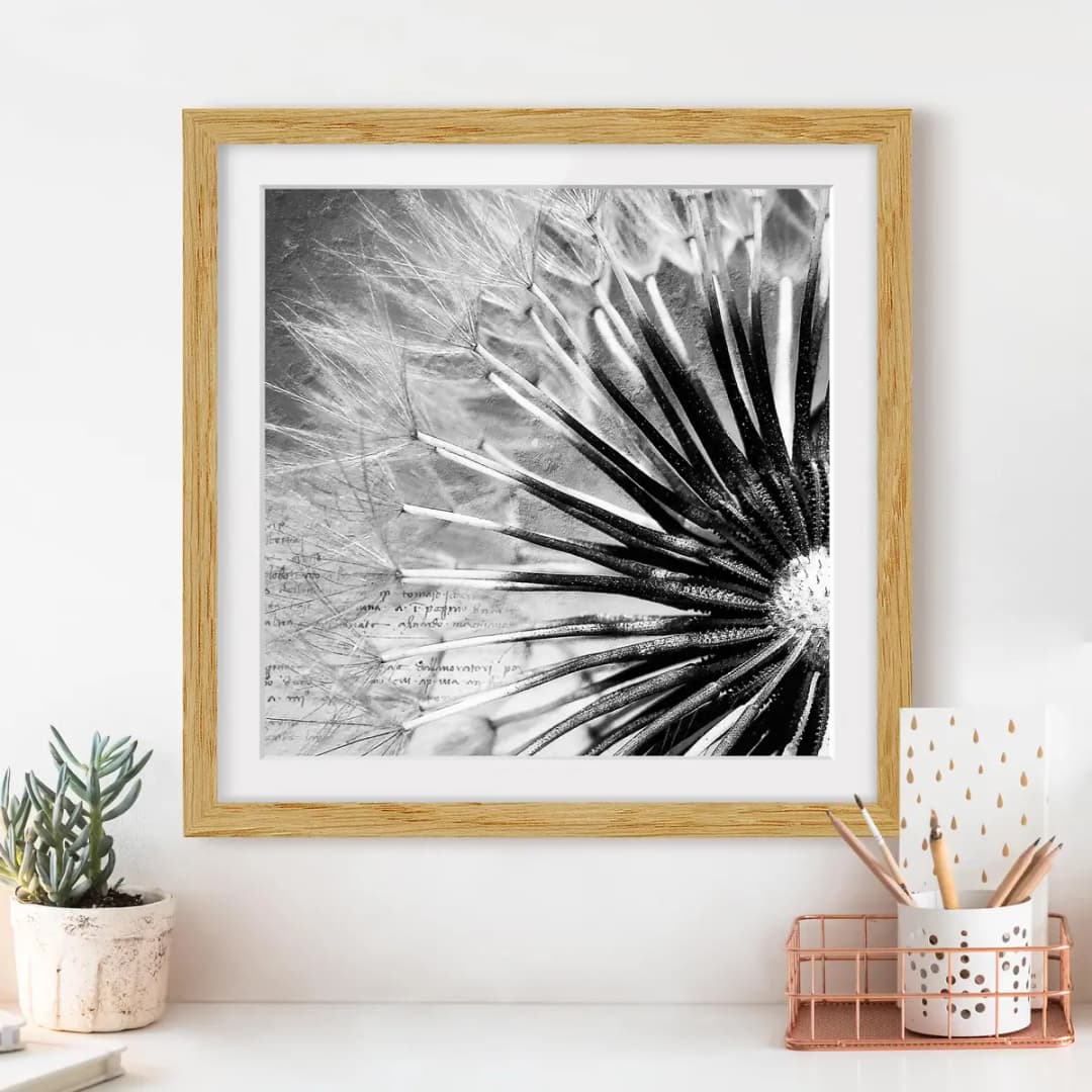 Bild Pusteblume Schwarz & Weiß IV | Schwarz