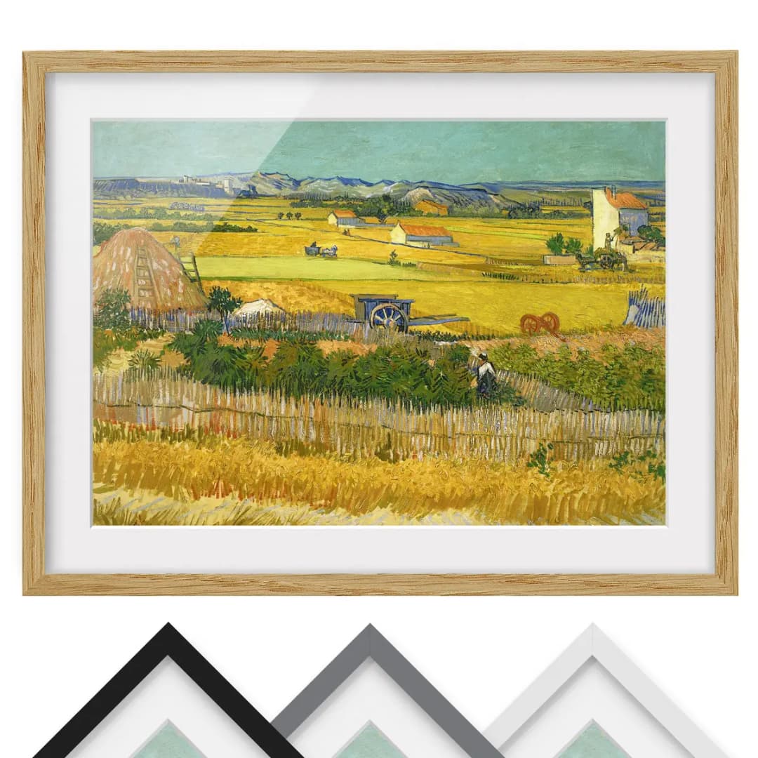 Bild Die Ernte IV | Mehrfarbig