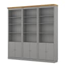Massive Bücherwand Typ C | Mehrfarbig