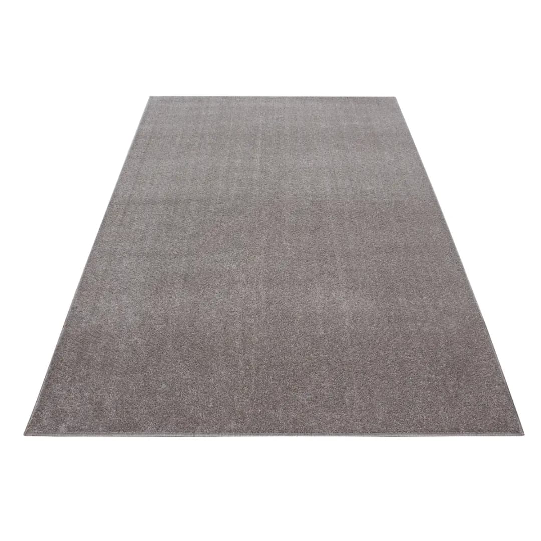Ayyildiz Ata Kurzflorteppich Beige/Beige 60 x 100cm Polyester | Beige