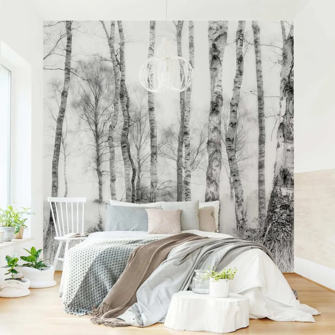 Fototapete Birkenwald Schwarz-Weiß 240 x 240cm | Schwarz