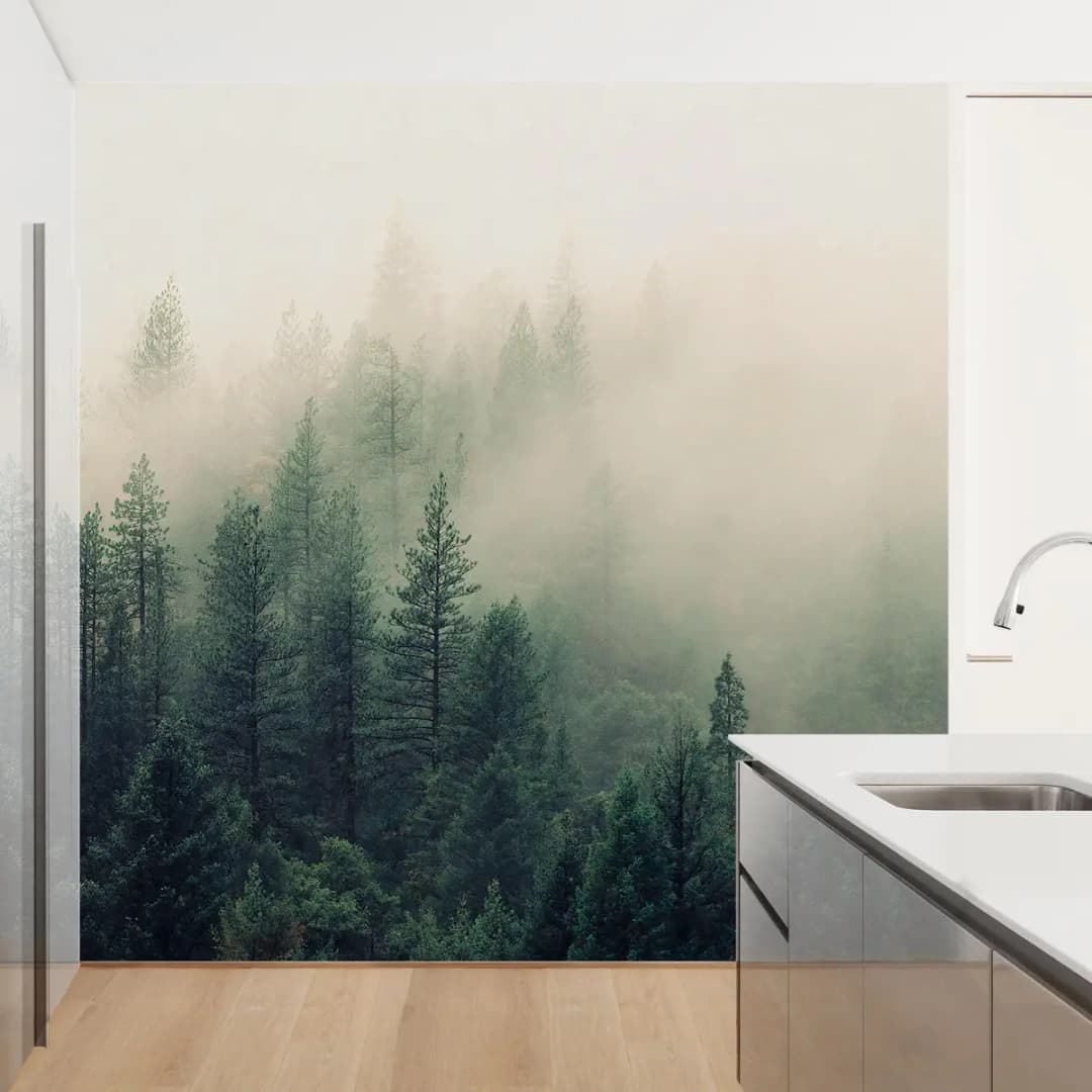 Fototapete Wald im Nebel Erwachen 336 x 336cm | Mehrfarbig