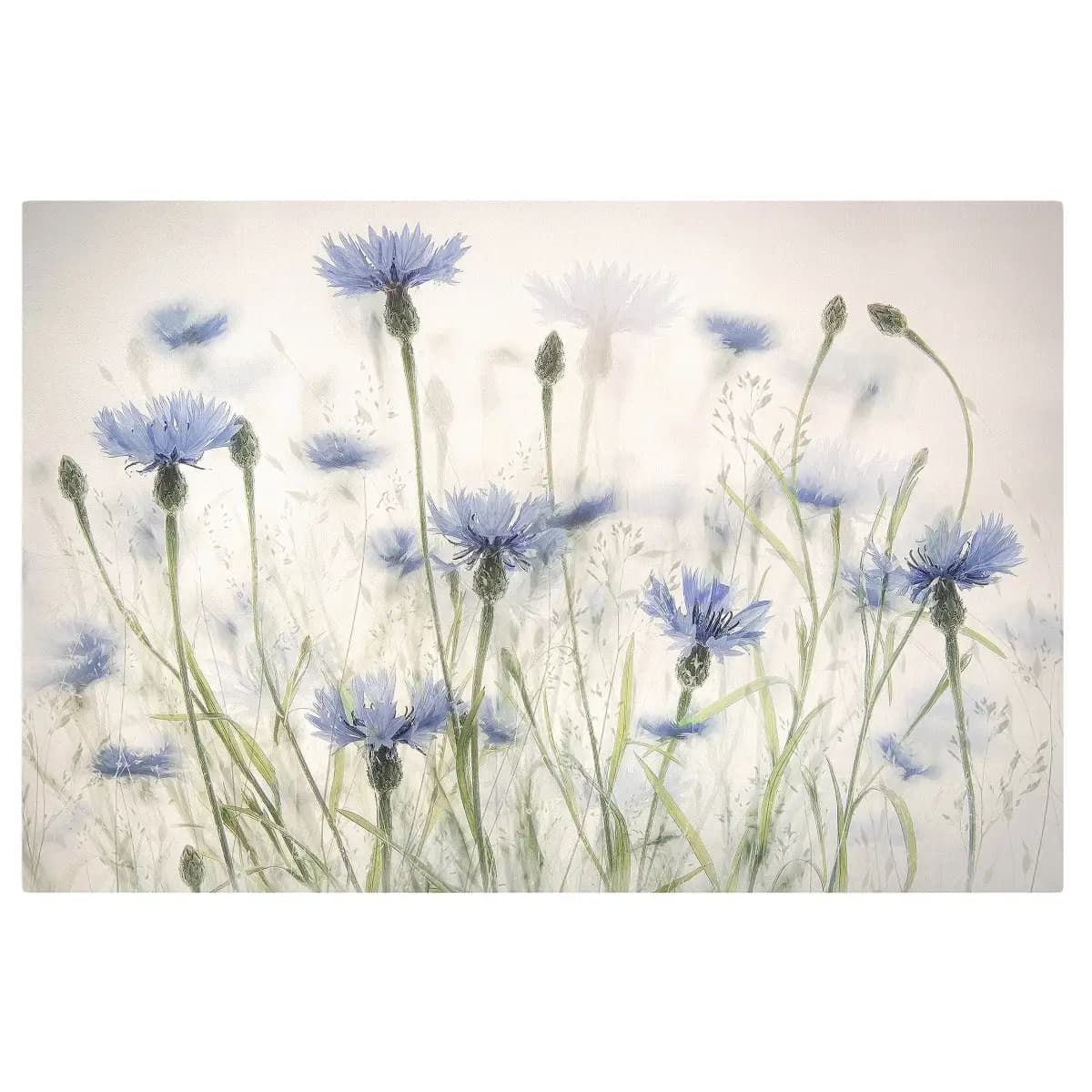 Leinwandbild Kornblumen Gräser Feld | Mehrfarbig