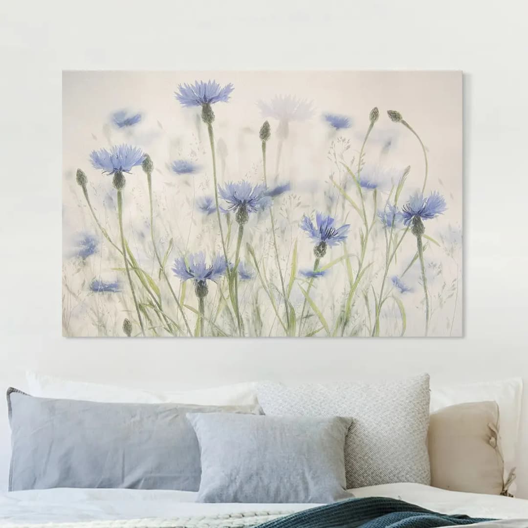 Leinwandbild Kornblumen Gräser Feld | Mehrfarbig