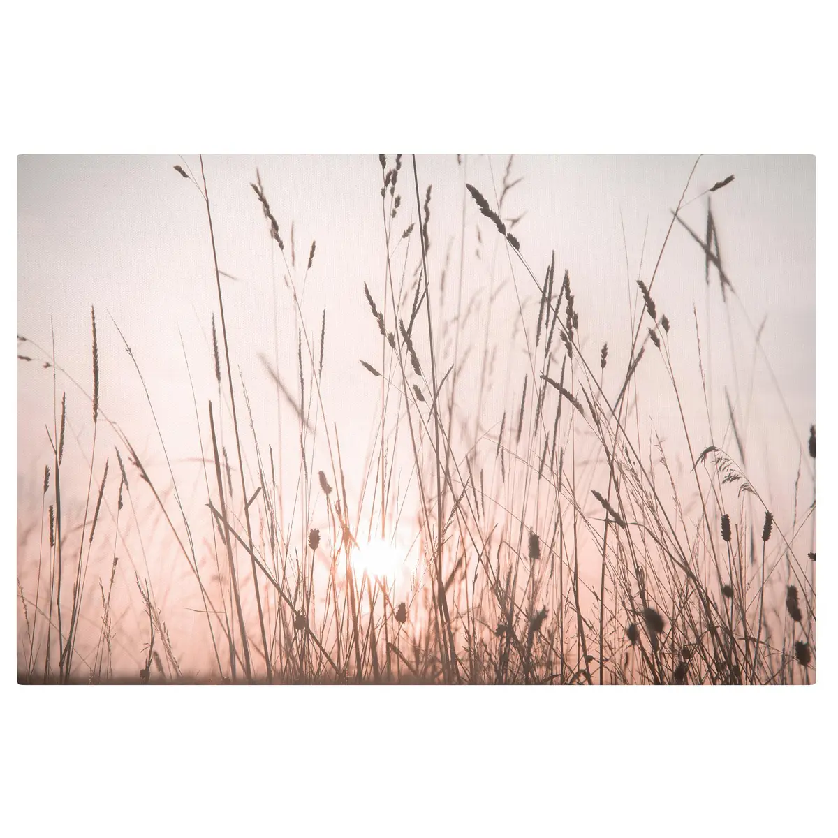 Leinwandbild Ein traumhafter Sommerabend | Mehrfarbig