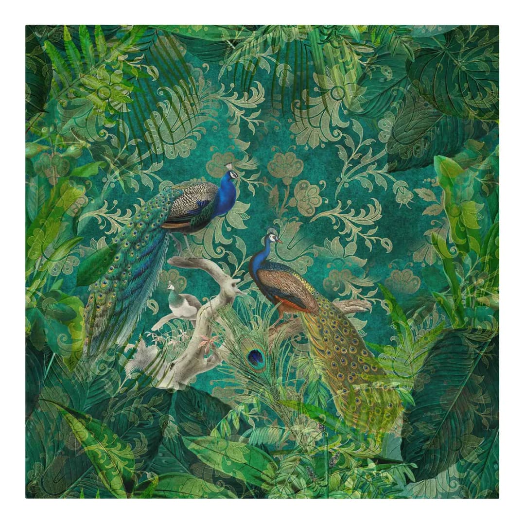 Leinwandbild Shabby Chic Collage Pfau II | Mehrfarbig