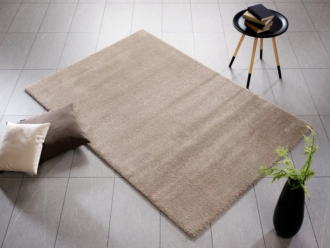 Kurzflorteppich Silentus Bliss | Beige