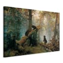 Leinwandbild Morning in a Pine Forest Filz Grün/Grün 60 x 40cm | Grün