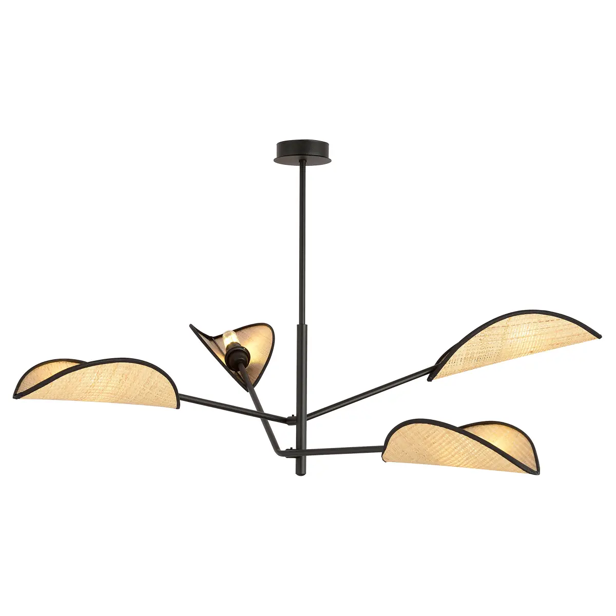 Emibig Lighting Deckenleuchte Vene | Schwarz