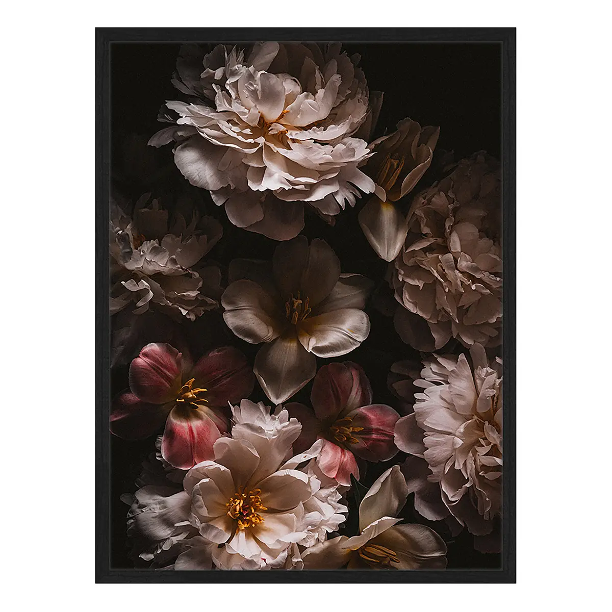Bild Baroque Flowers | Mehrfarbig